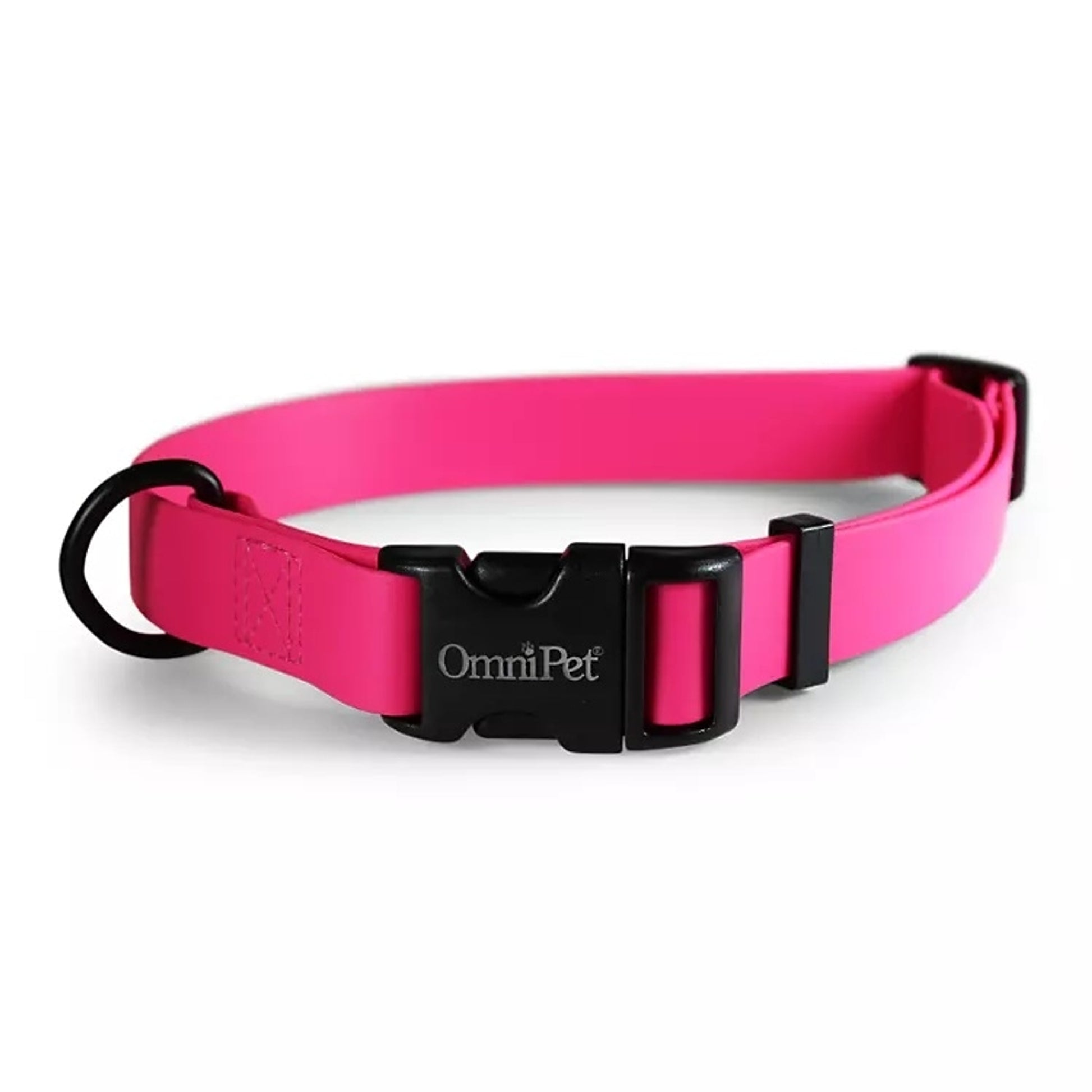Carnival Waterproof Dog Collar
