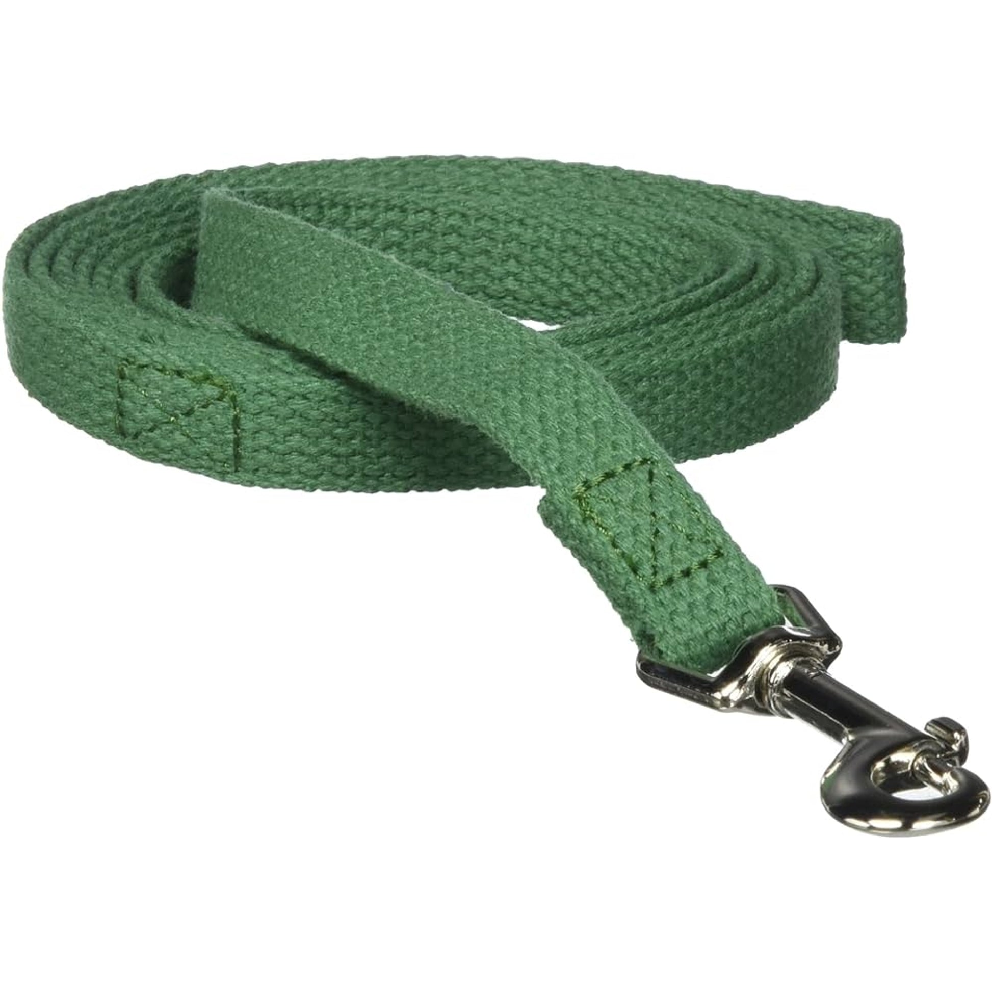 Web Training Dog Lead