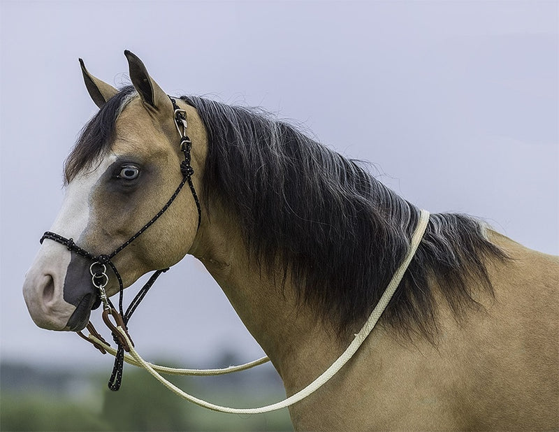 Mustang Bitless Halter Bridle