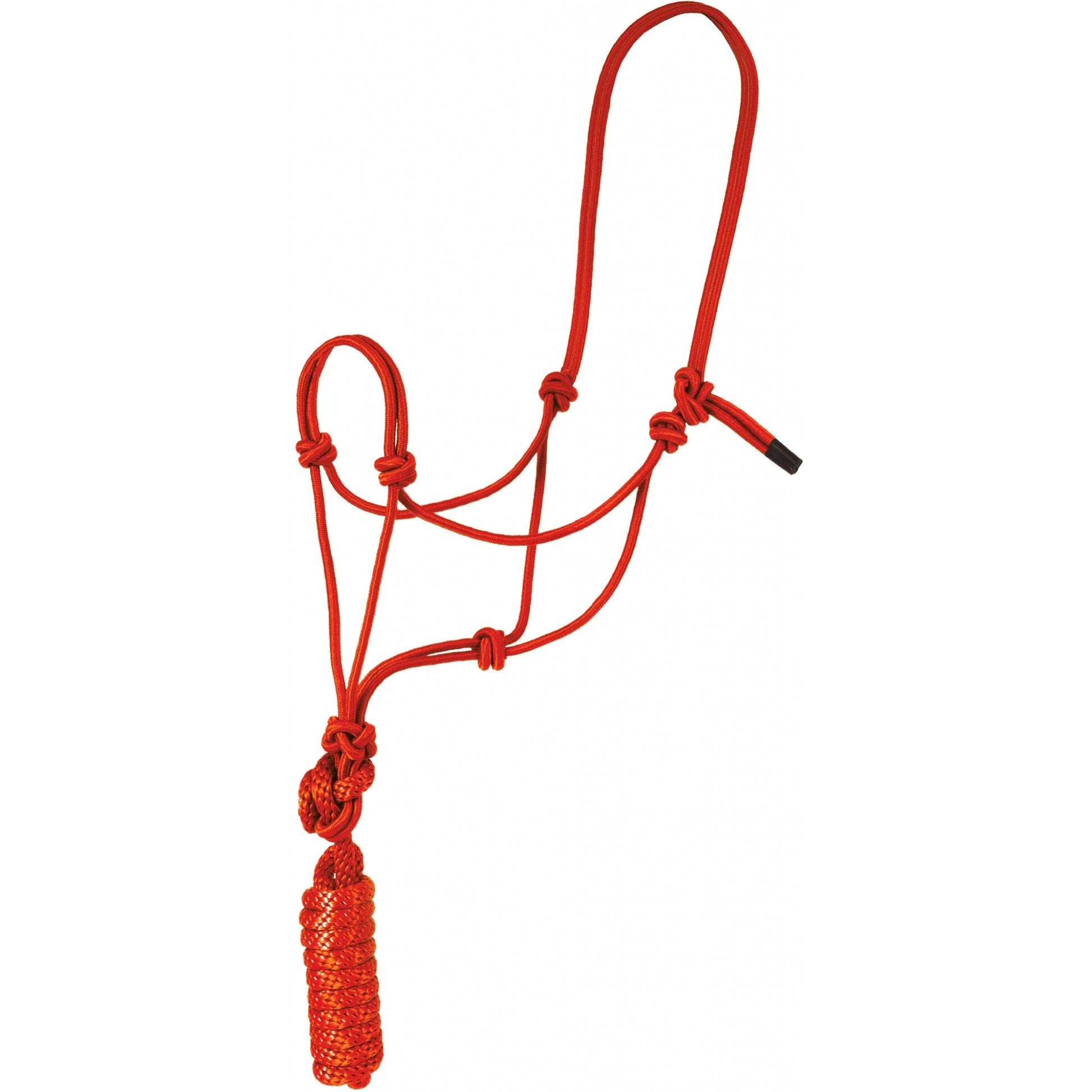Mustang Economy Mountain Rope Halter and Lead