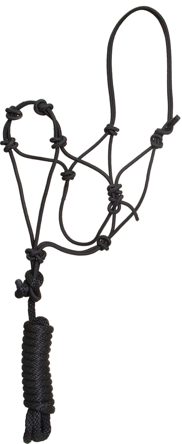 Mustang Secure Rope Halter with 12' Lead