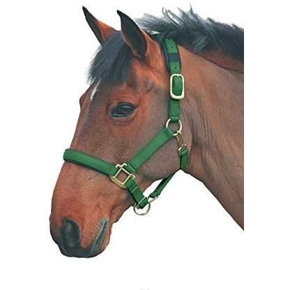 Shires Topaz Leather Breakaway Nylon Headcollar