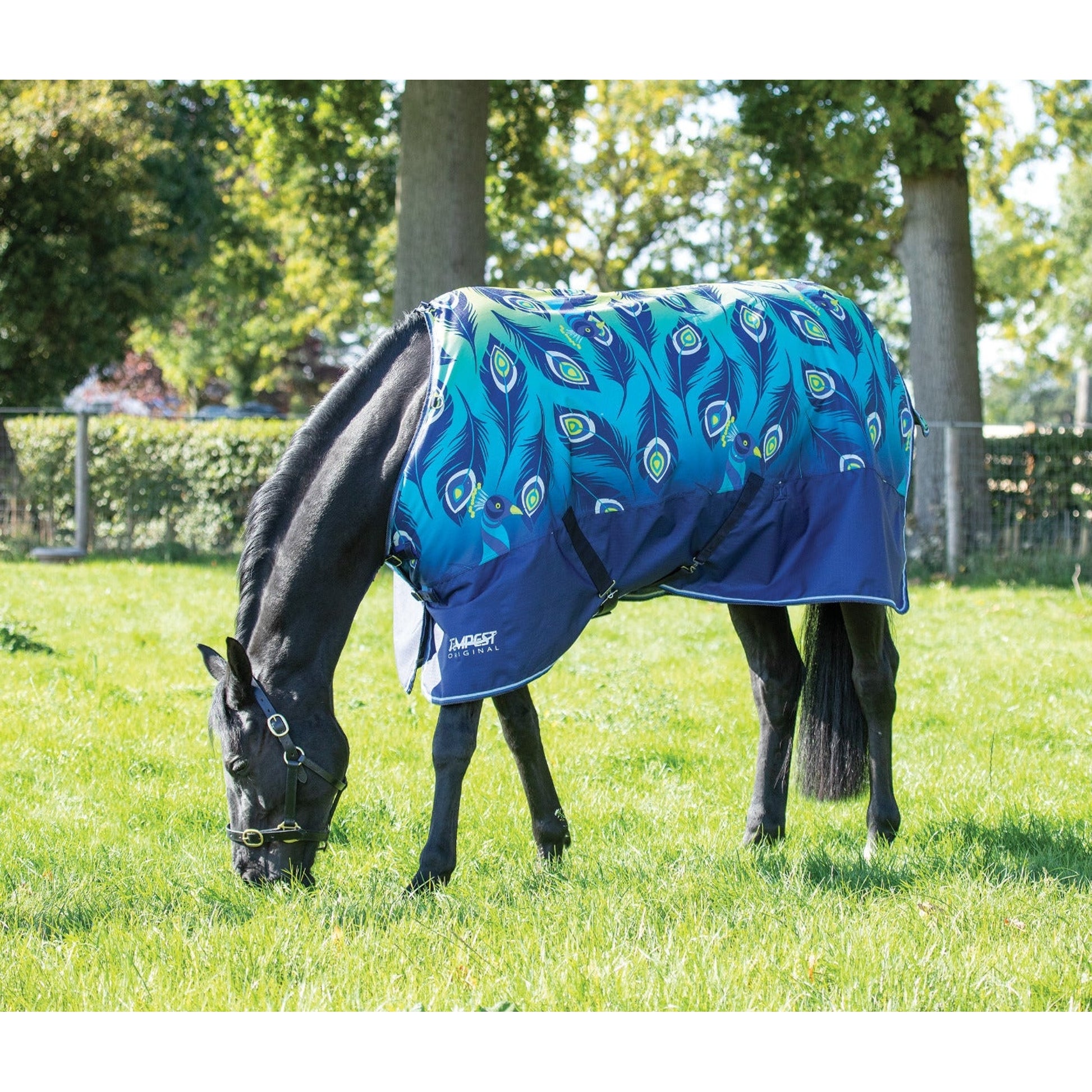 Shires Mini Highlander Lightweight Turnout Blanket