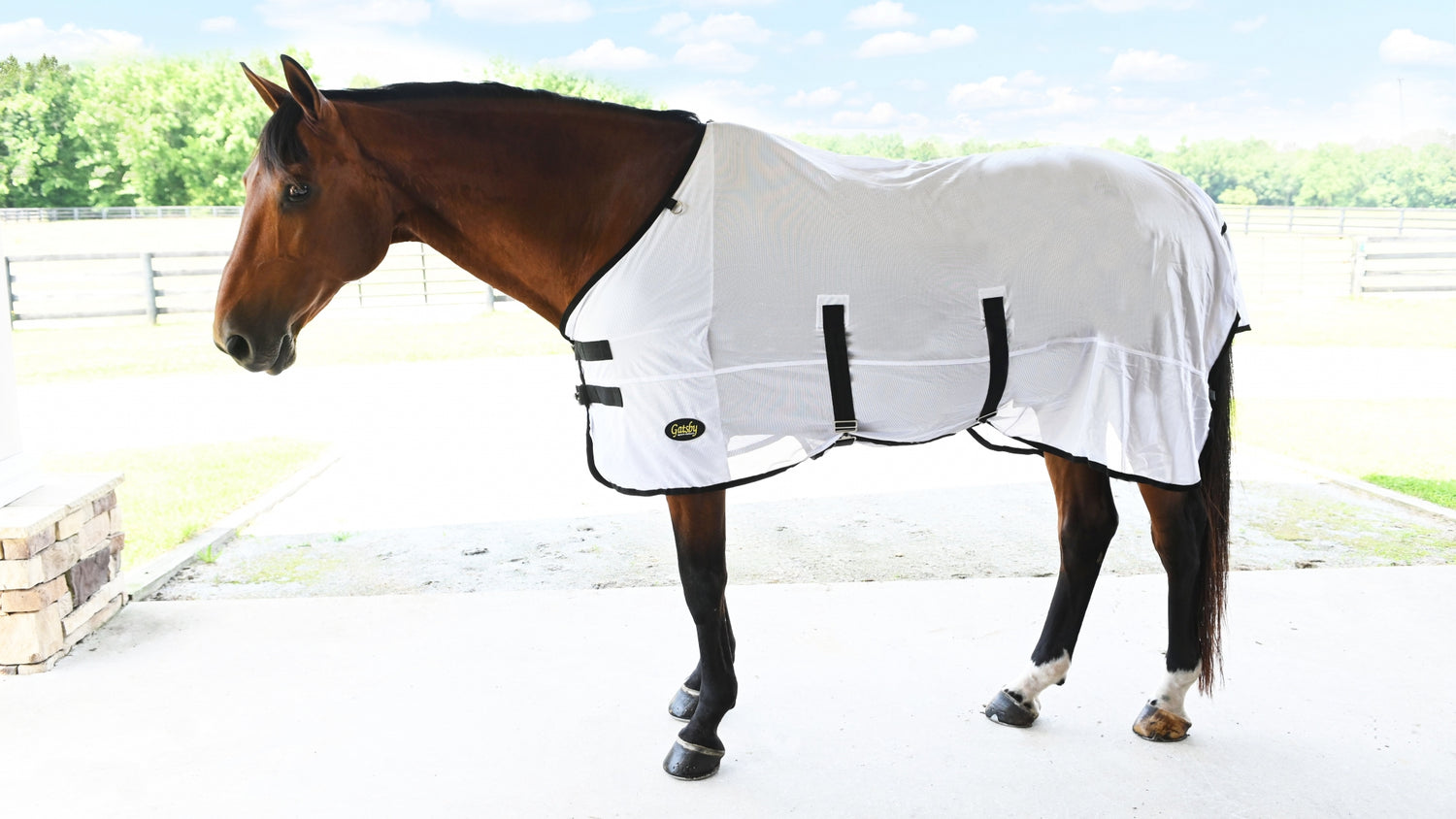 Spring Top Sellers
