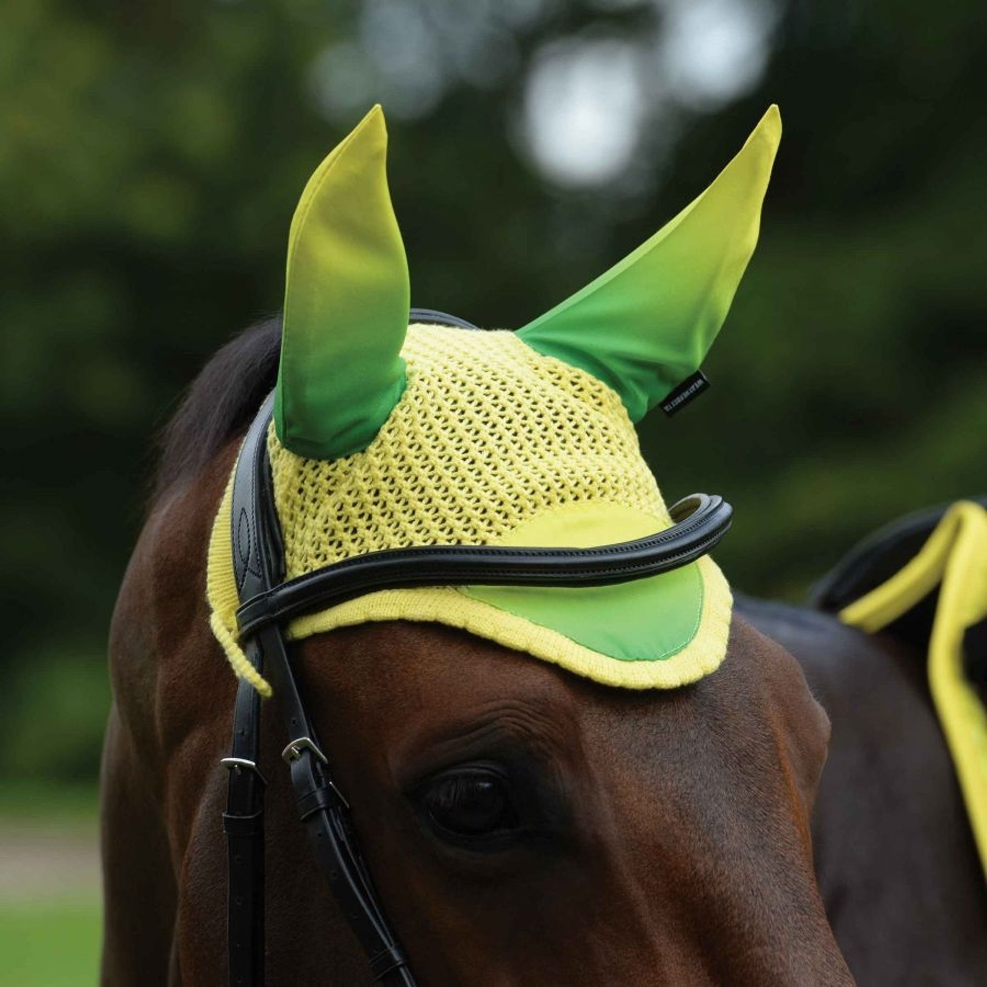 Weatherbeeta Prime Ombre Ear Bonnet