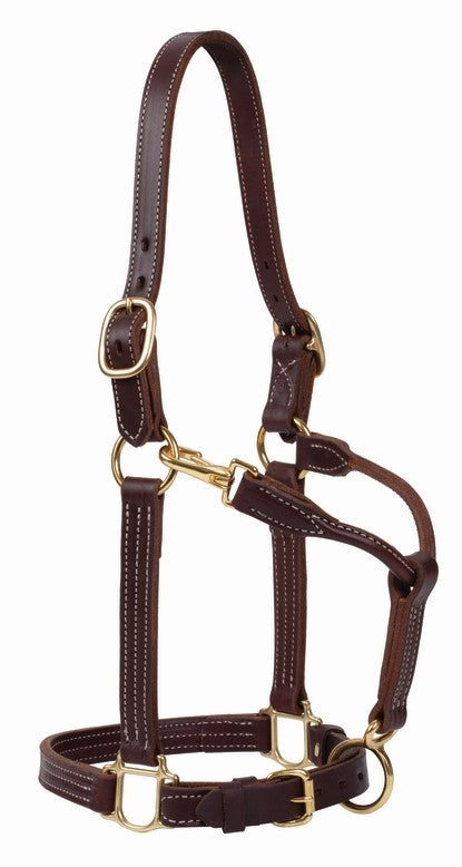 Weaver 1" Leather Track Halter