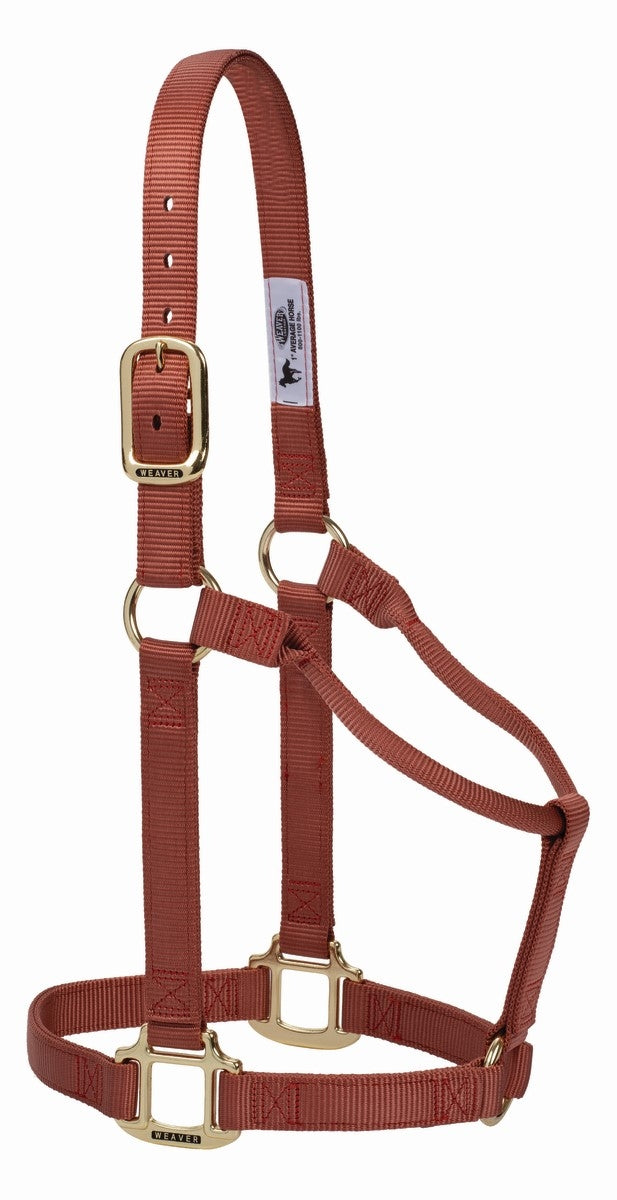Challenger Neoprene Padded Horse Halter - Multicolor Pattern With Brass Hardware