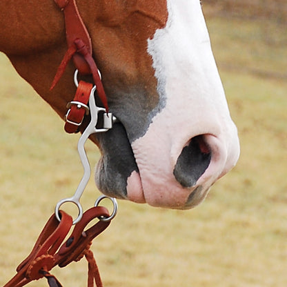 Classic Equine Rickey Green Bit - Sharp Setter High Port MP