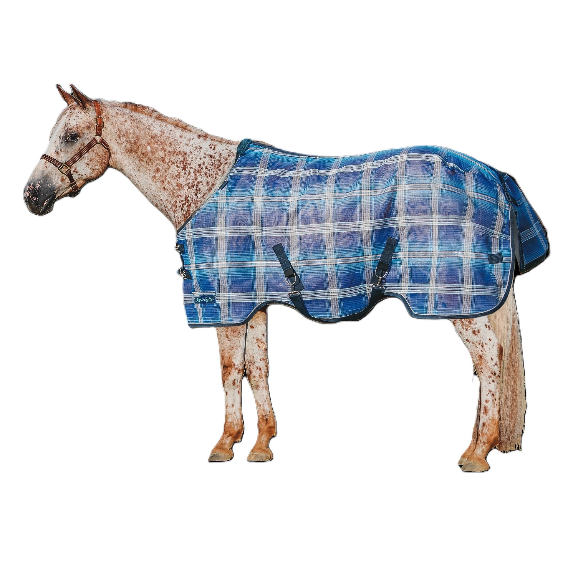 Kensington Horse Protective Fly Sheet