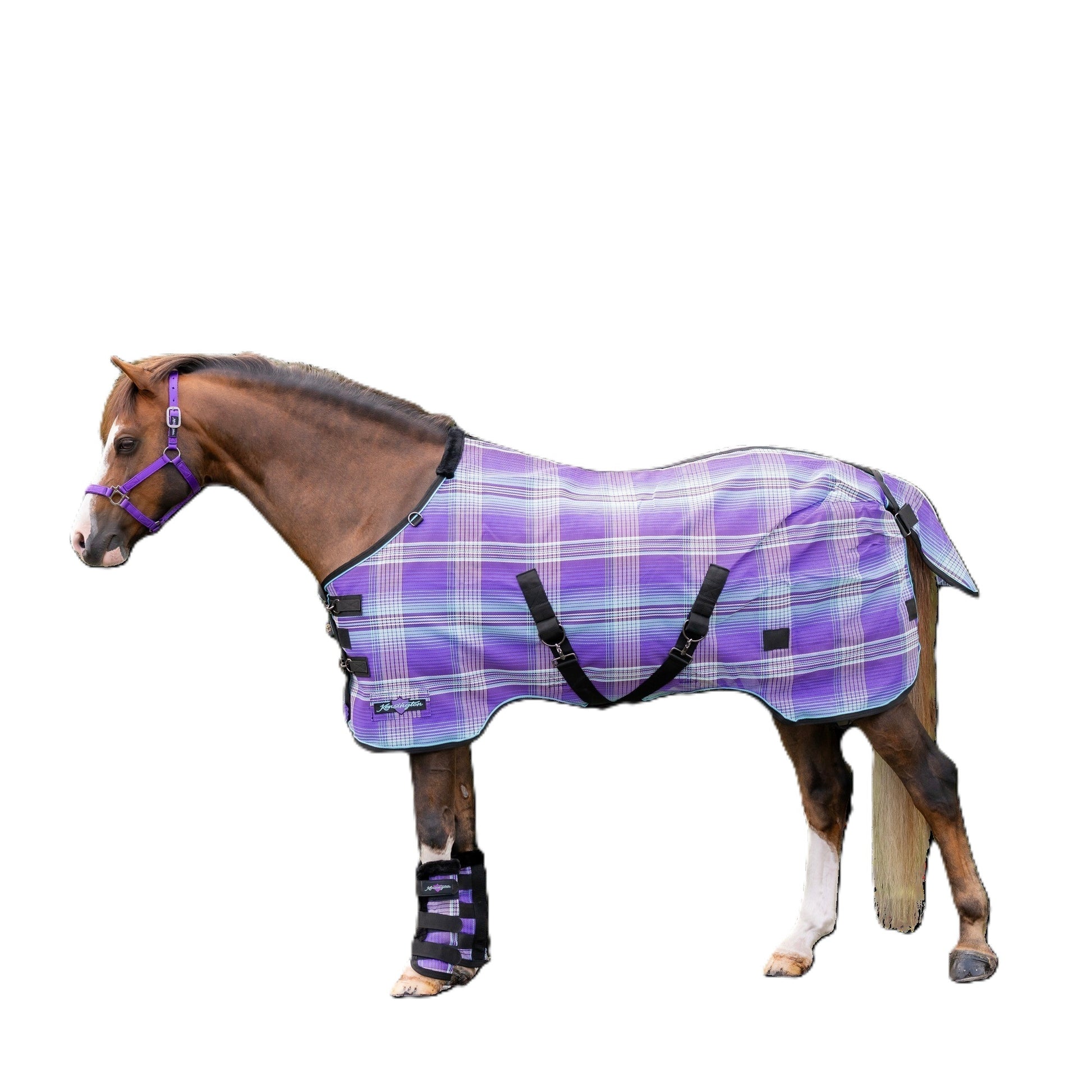 Kensington Pony Protective Fly Sheet