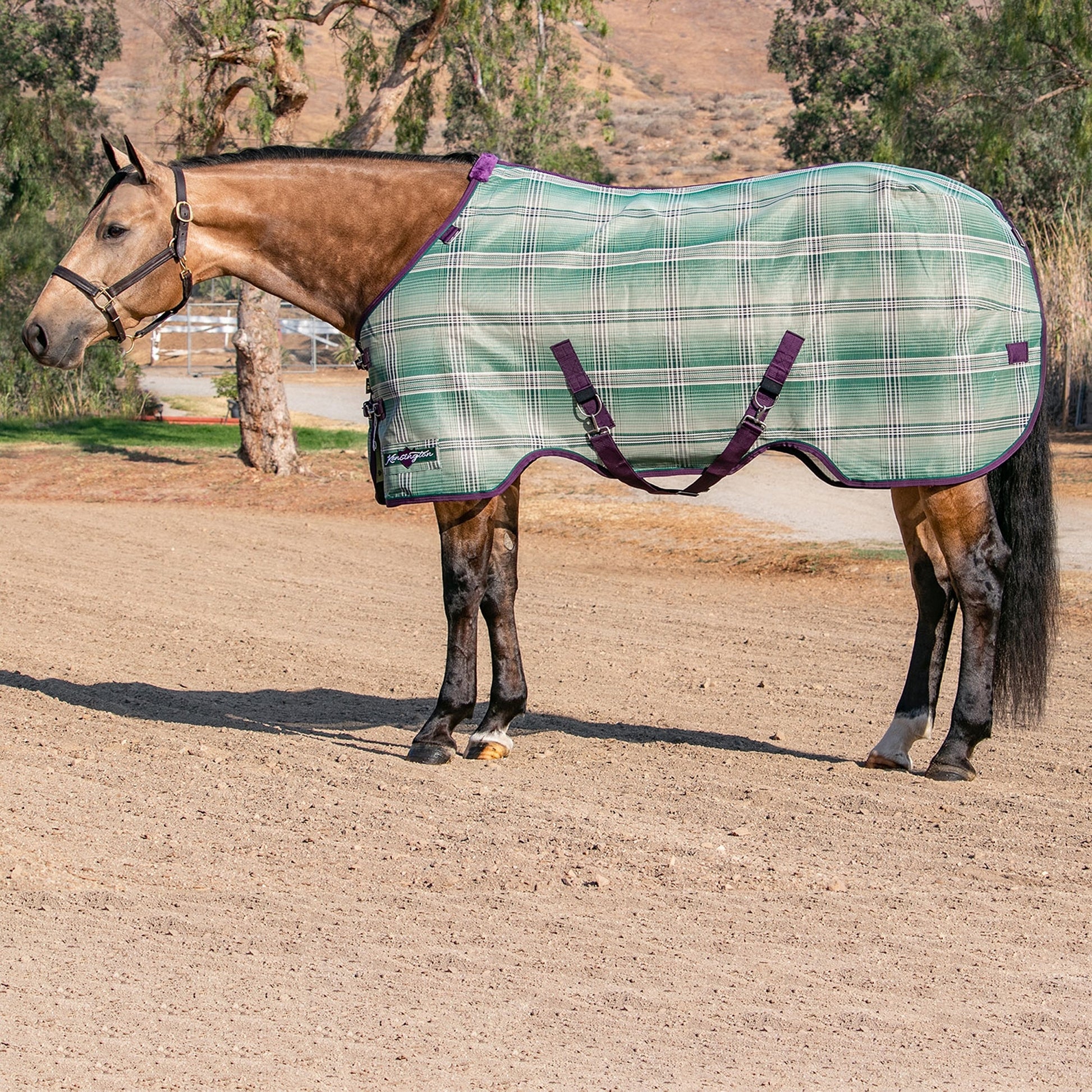 Kensington Horse Protective Fly Sheet