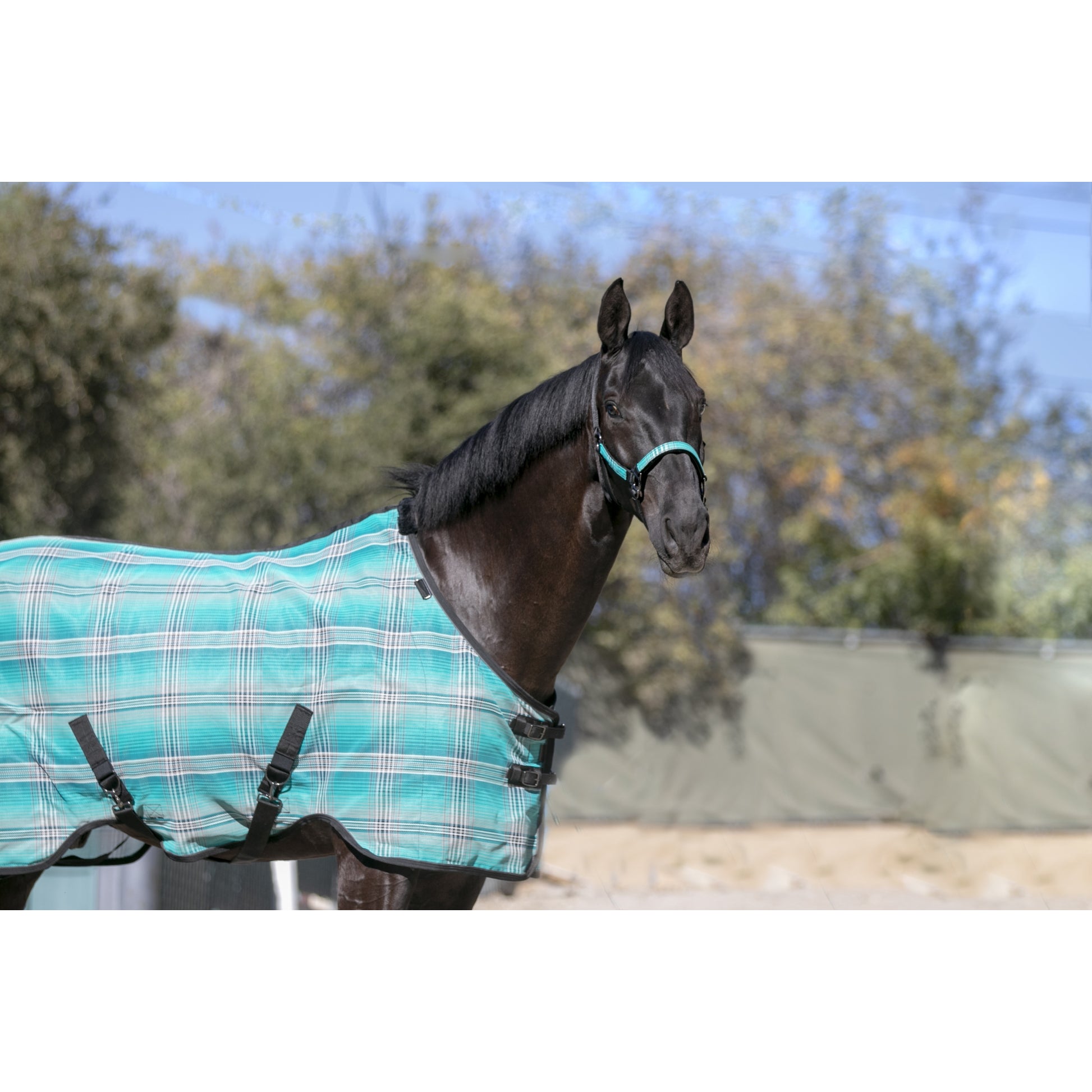 Kensington Horse Protective Fly Sheet