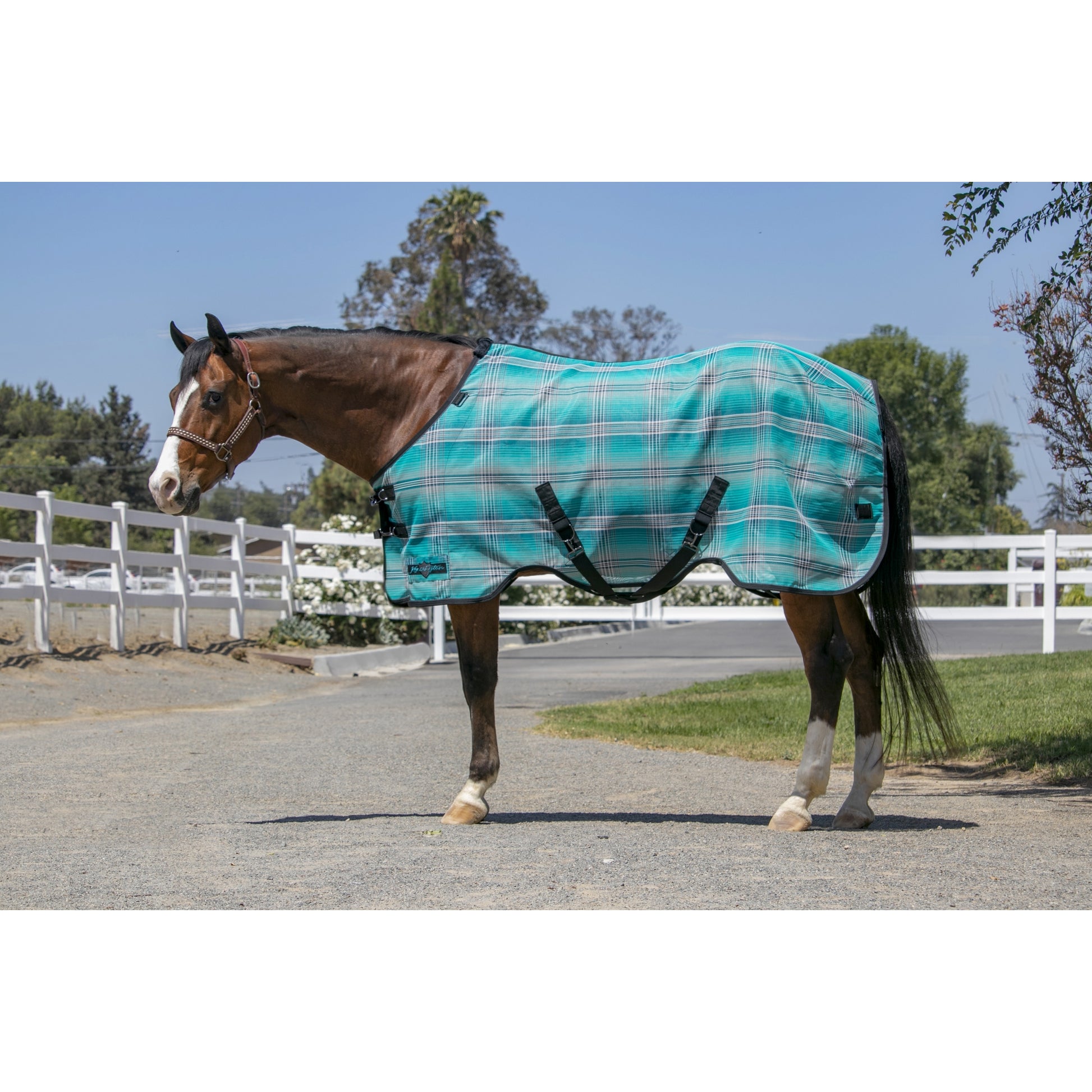 Kensington Horse Protective Fly Sheet