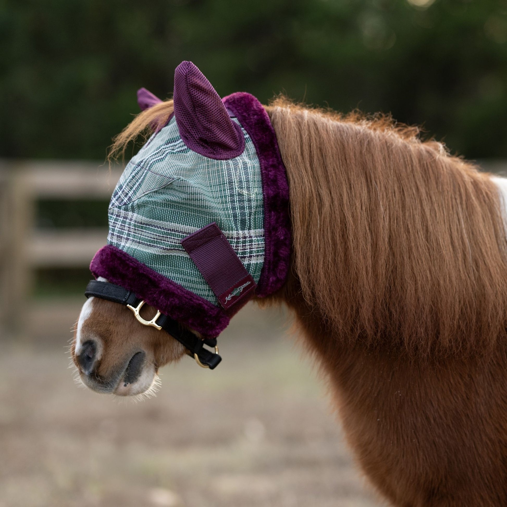Kensington UV Mini Fly Mask with Fleece Trim & Ears