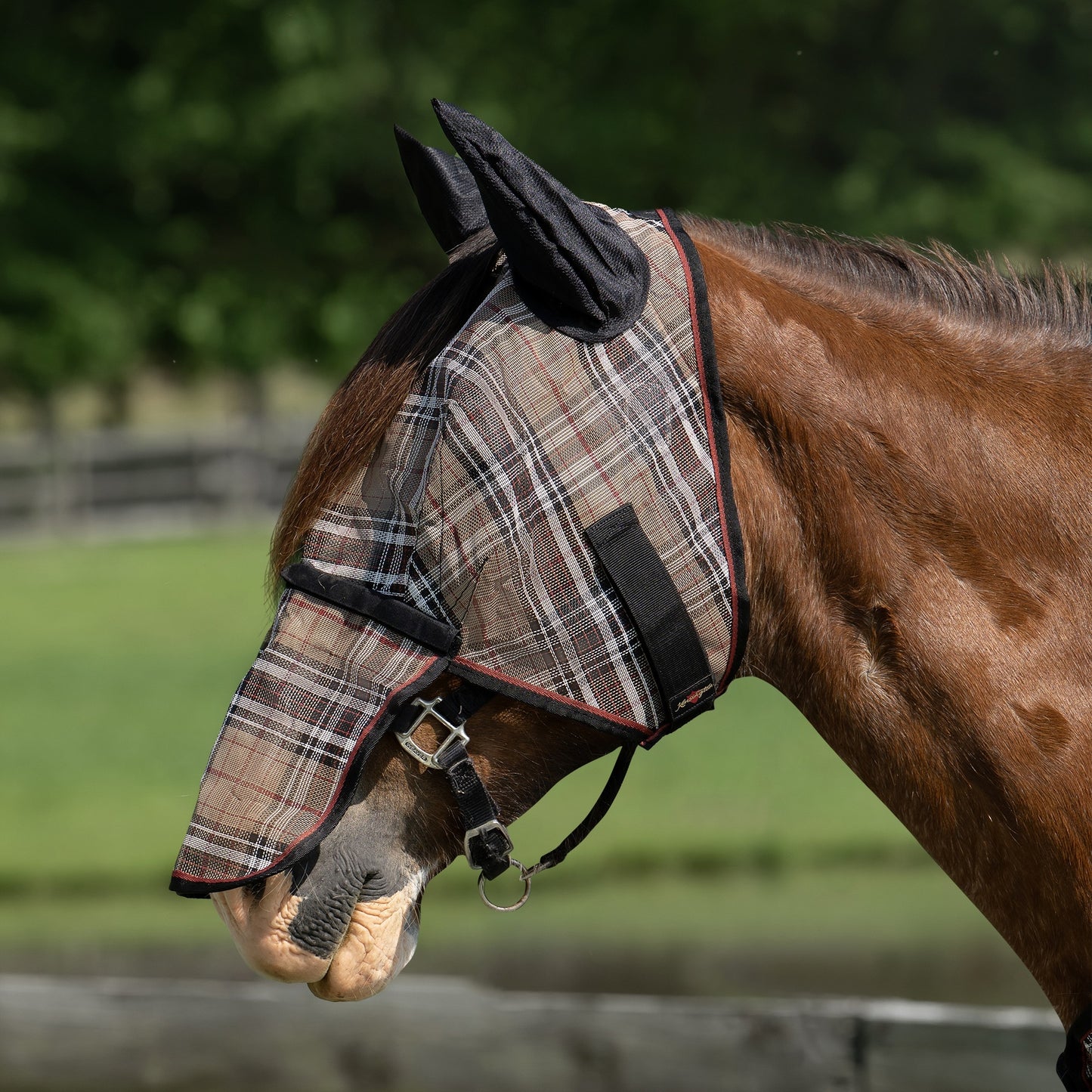 4-269904-02.jpg