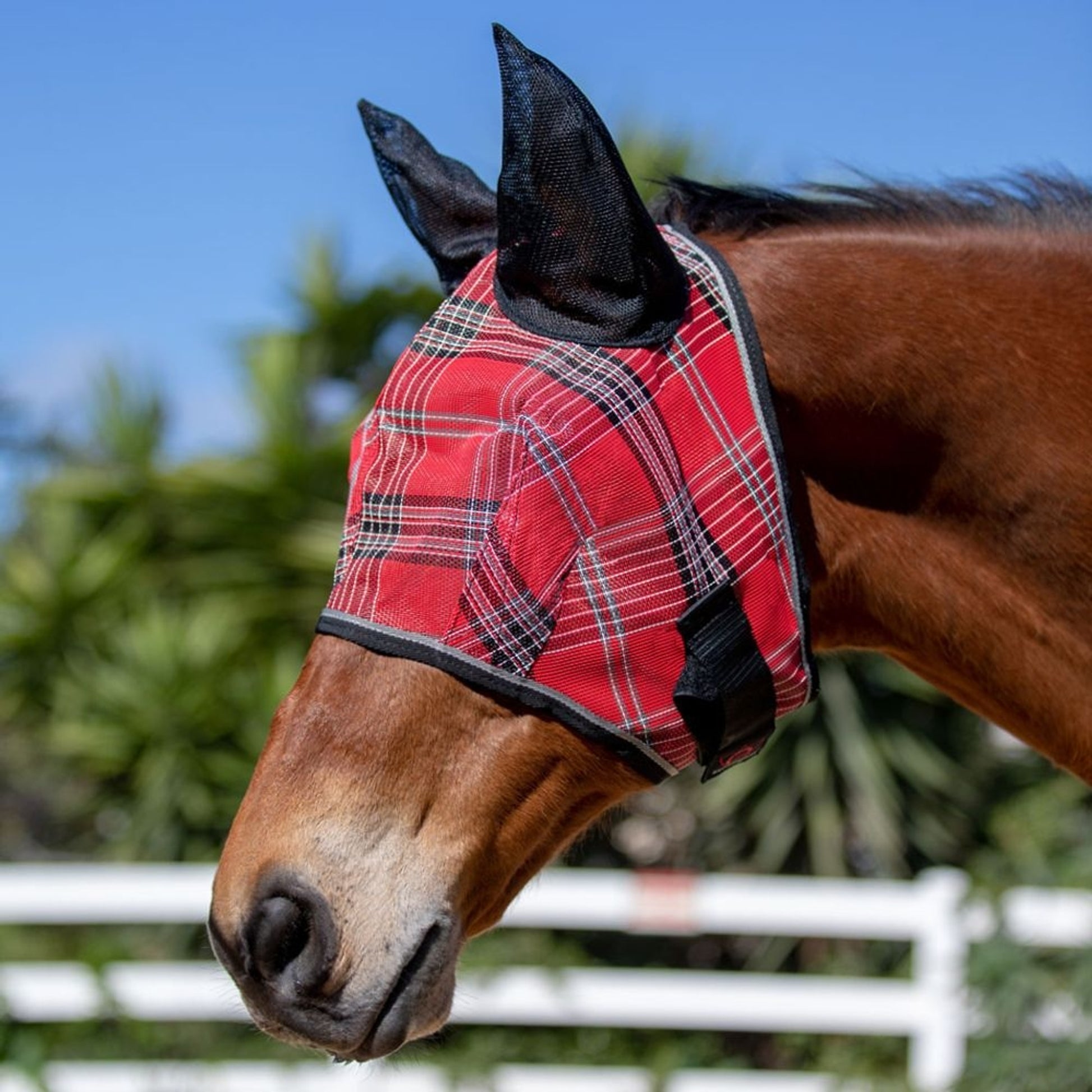Kensington Web Trim Fly Mask with Ears & Forelock