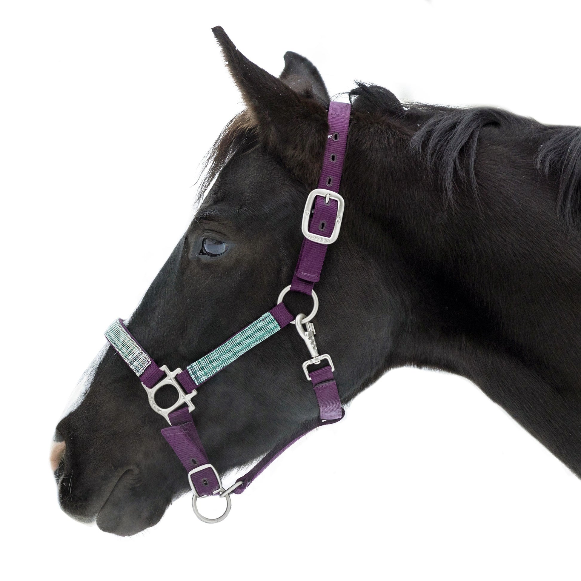Kensington Reflective Nylon Halter