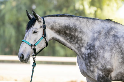 Kensington Reflective Breakaway Nylon Halter