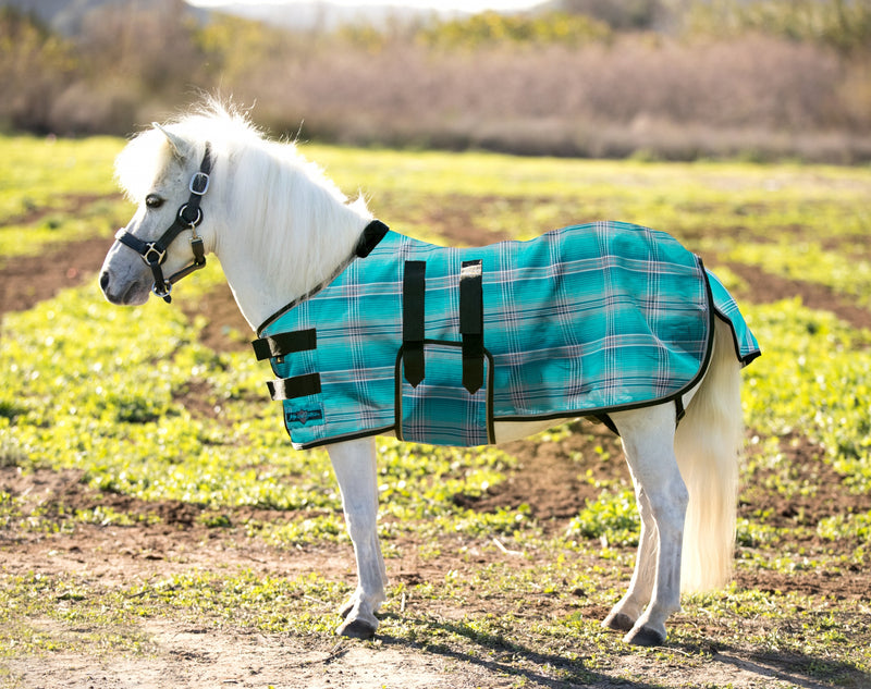 Kensington Mini Protective Fly Sheet