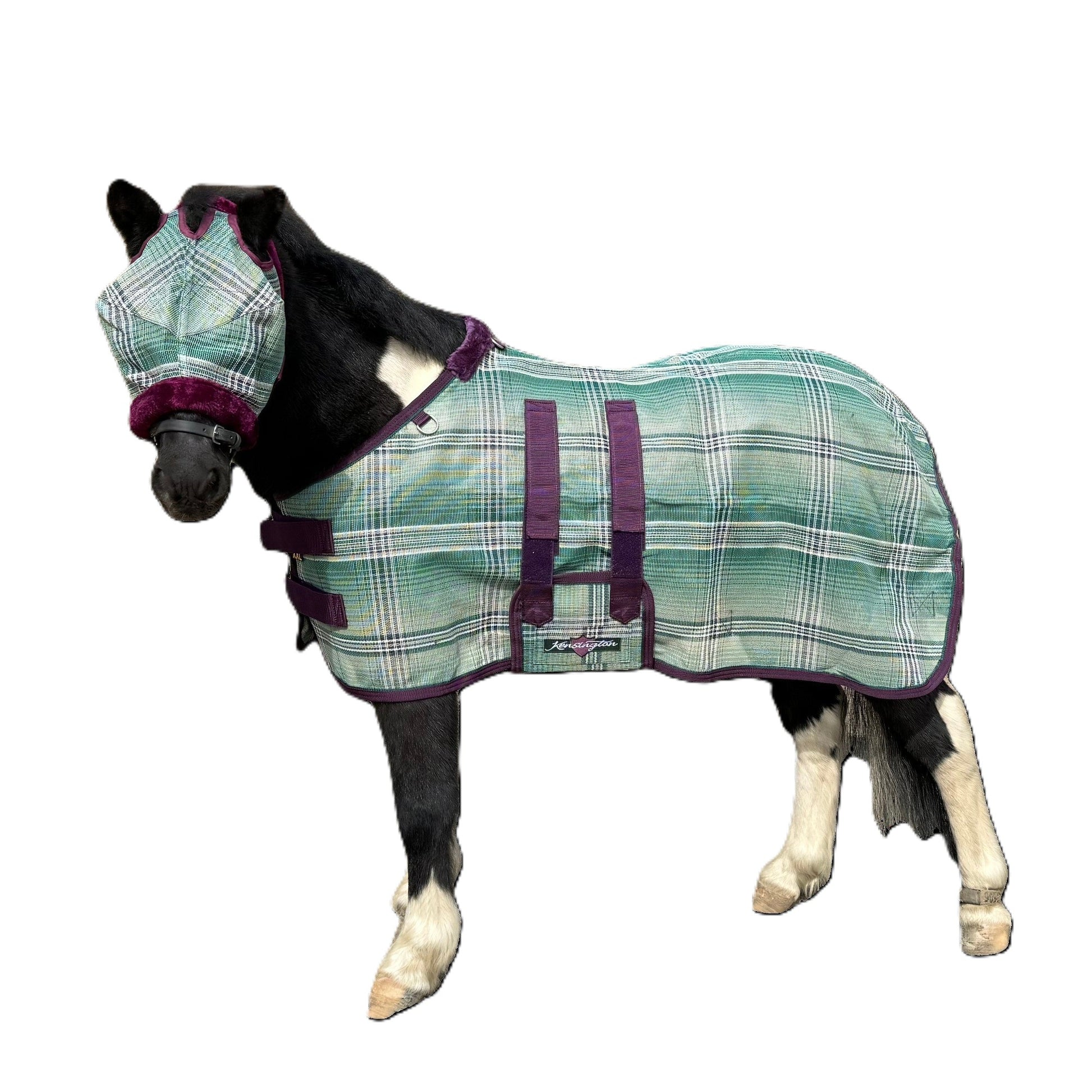 Kensington Mini Protective Fly Sheet