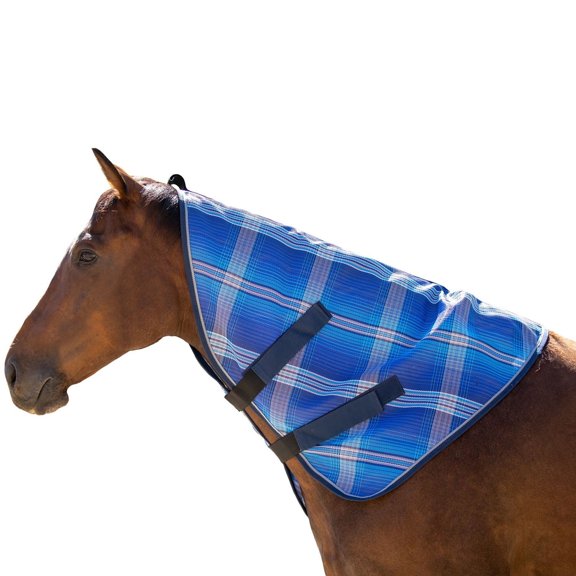 Kensington Horse Protective Neck Cover