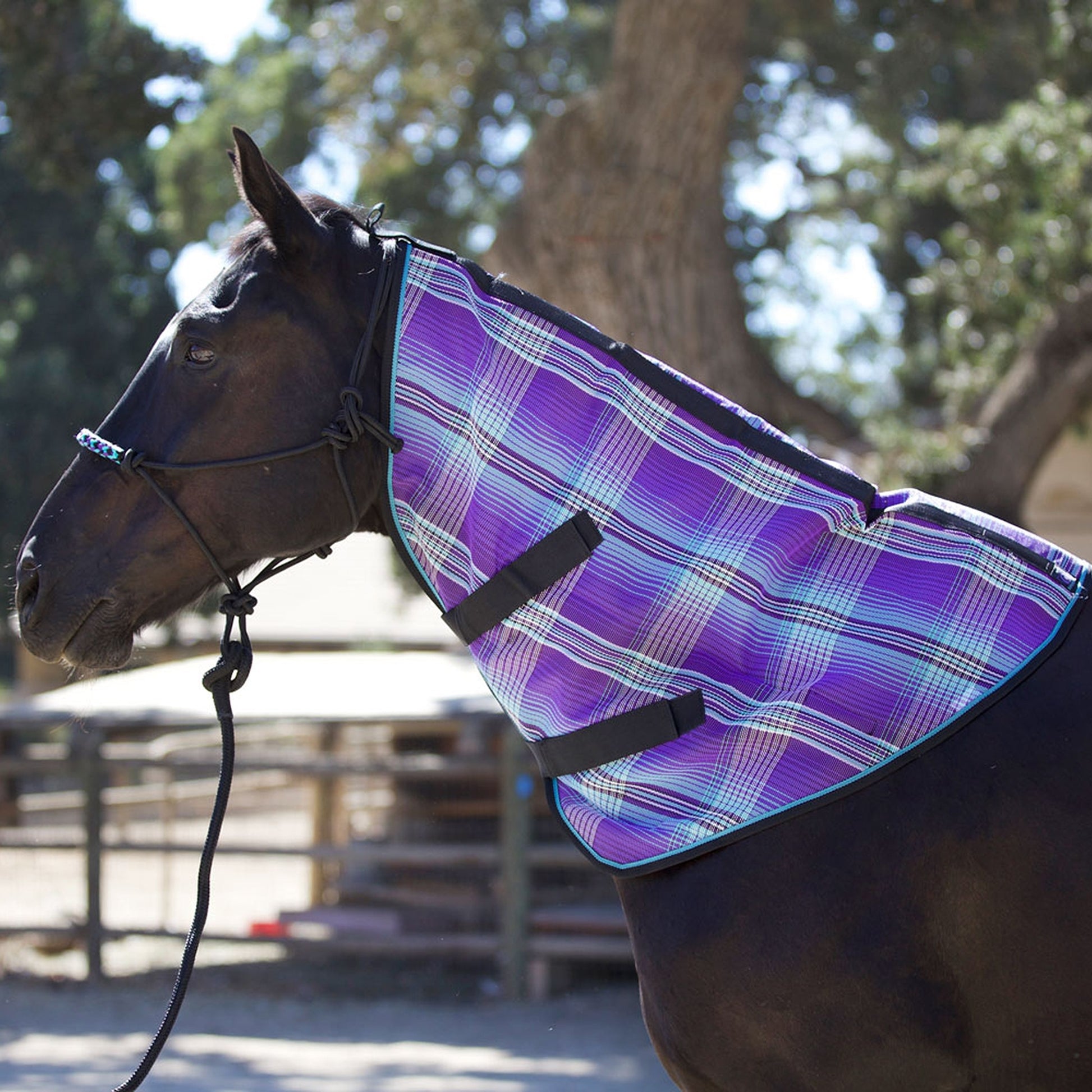 Kensington Horse Protective Neck Cover