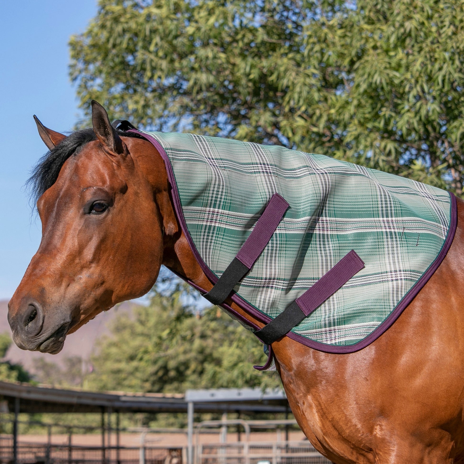 Kensington Horse Protective Neck Cover