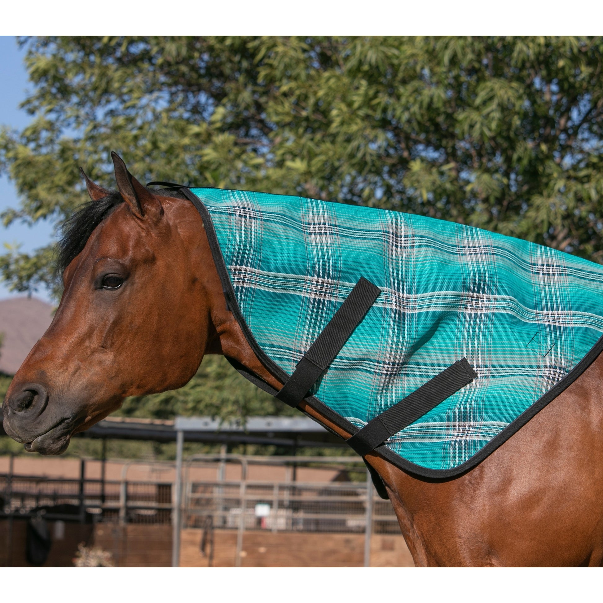 Kensington Horse Protective Neck Cover