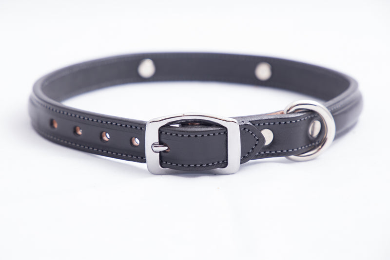 Tory Leather Raised Dog Collar with Nickel Bit