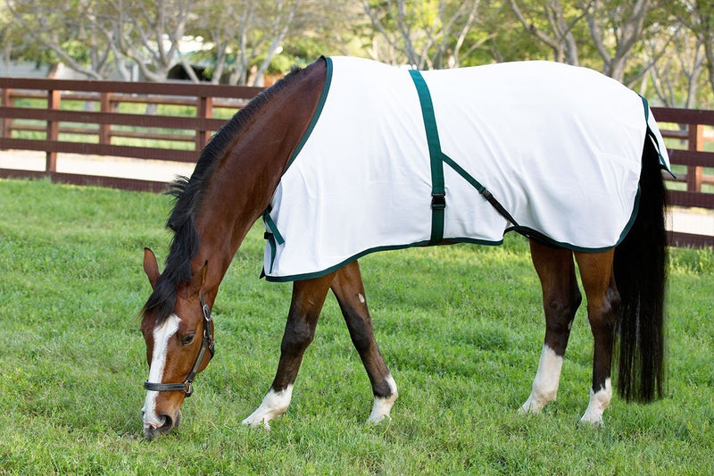Saratoga Horseworks Oasis Summer Turnout