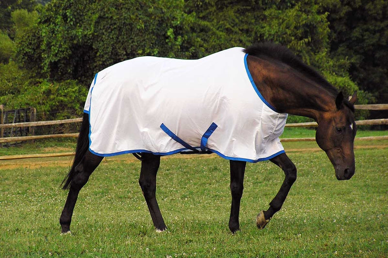 Saratoga Horseworks Oasis Euro Summer Turnout
