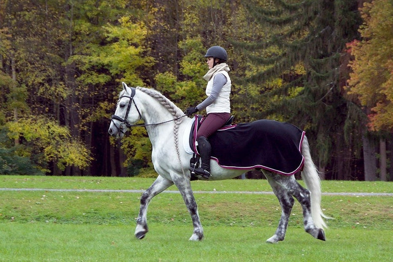 Saratoga Horseworks Fleece Riding Blanket