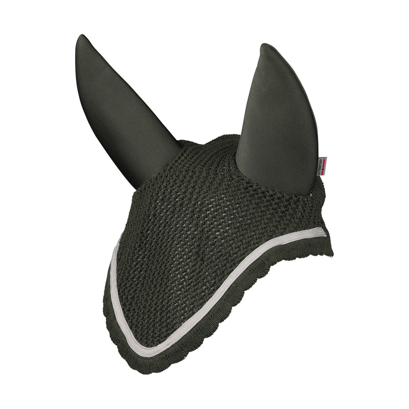 B Vertigo Zurich Ear Net