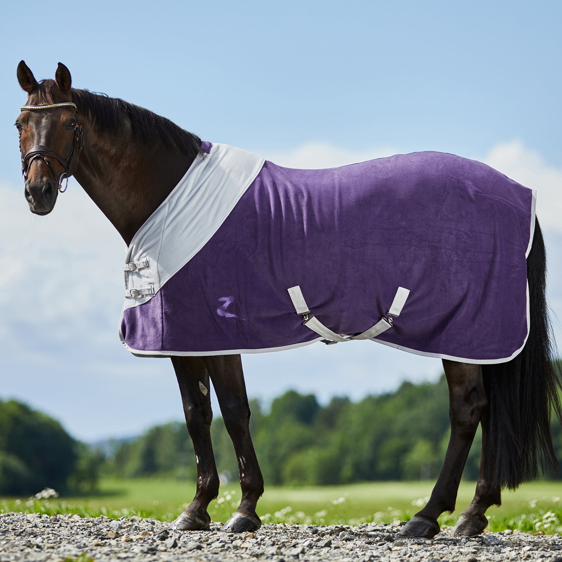 Horze Turin Fleece Blanket