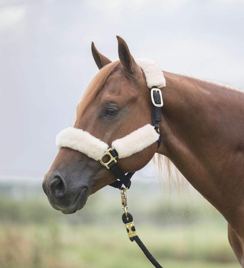Mustang Comfort Fleece Halter Cover Set (4 pieces)