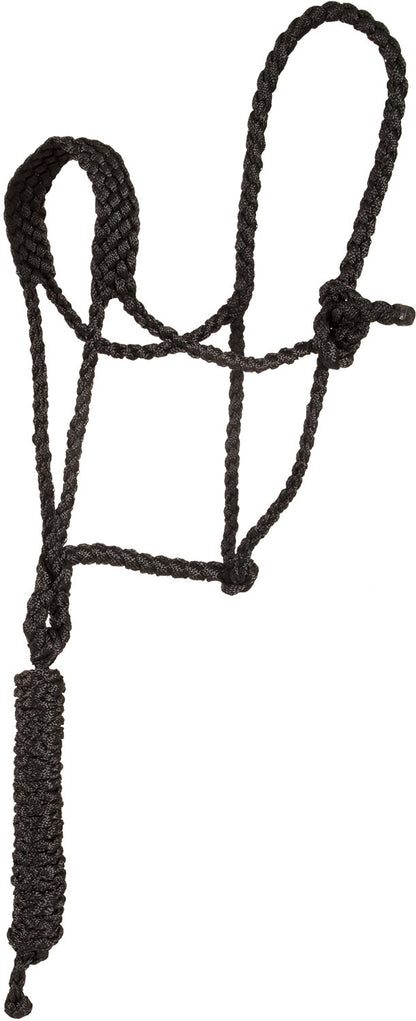 Mustang Flat Braid Mule Tape Halter with 10' Lead