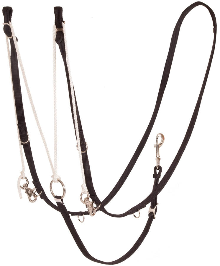 Mustang German Martingale