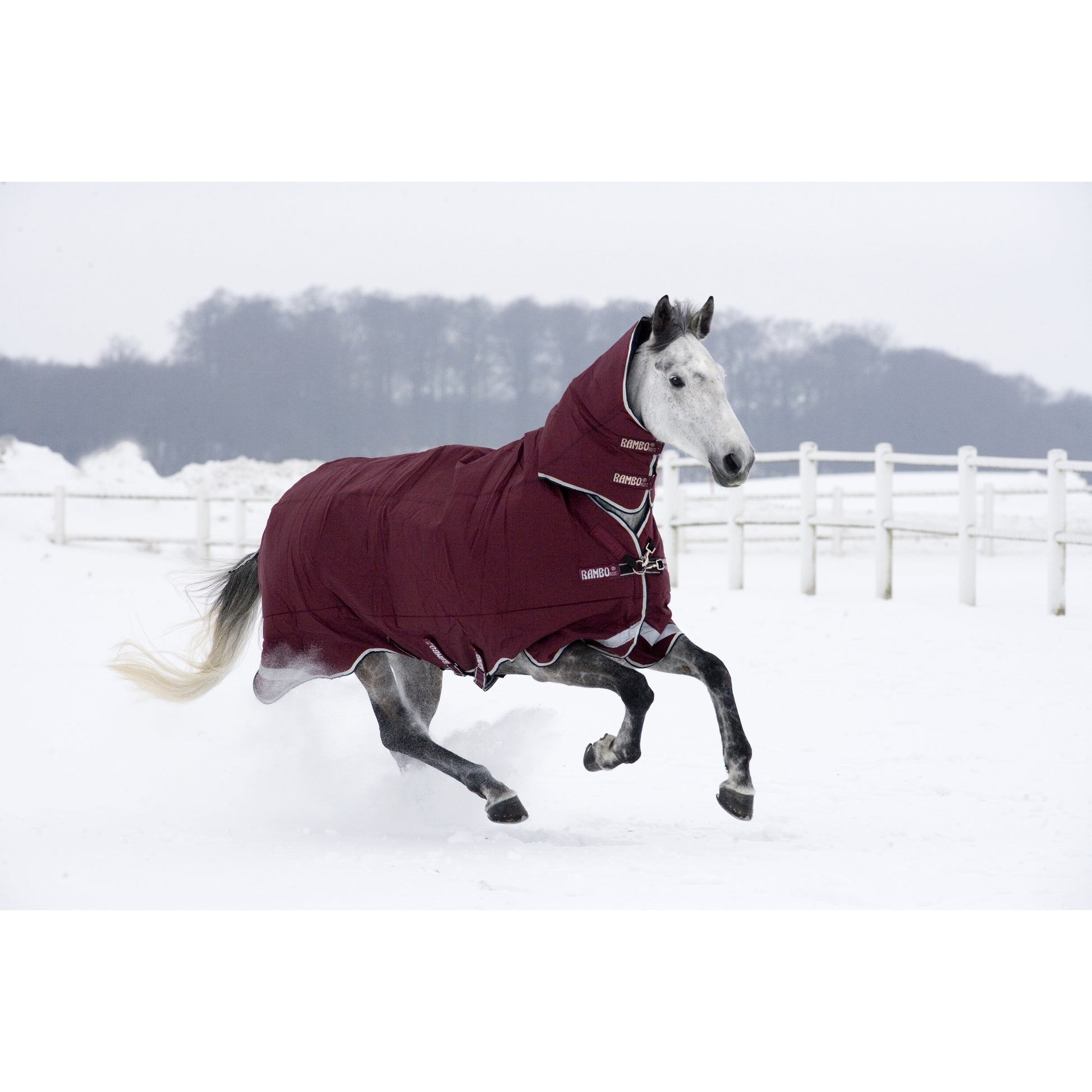 Rambo All-In-One Turnout Blanket (400g Heavy)