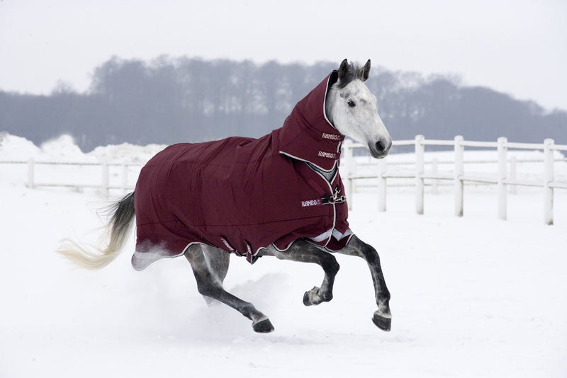 Rambo All-In-One Turnout Blanket (400g Heavy)