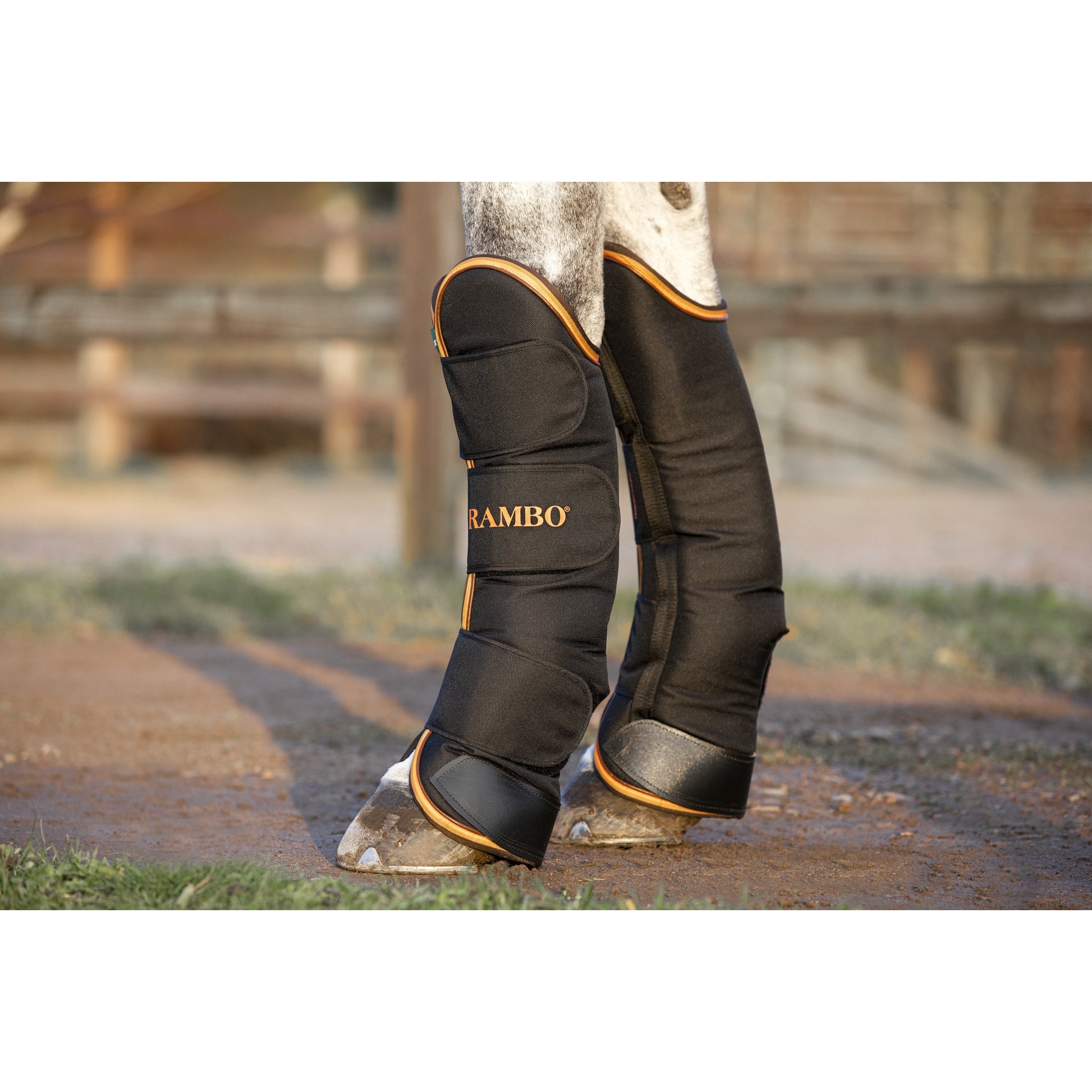 Rambo Travel Boots