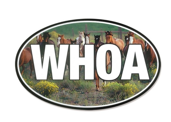 Euro Sticker Whoa with Horses