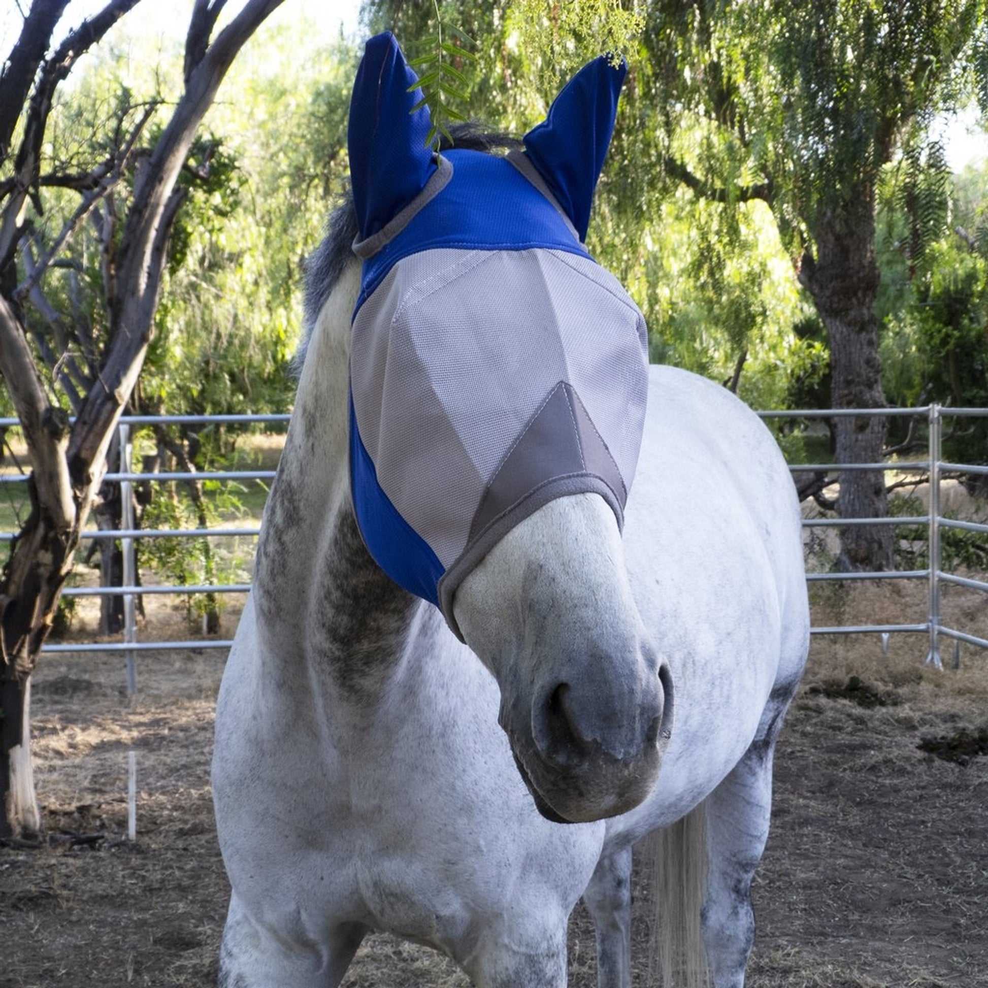 Majyk Equipe UV Protection Fly Mask