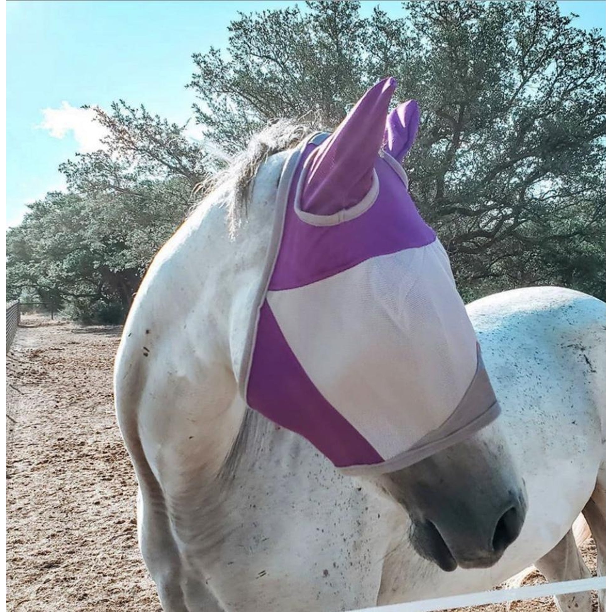 Majyk Equipe UV Protection Fly Mask