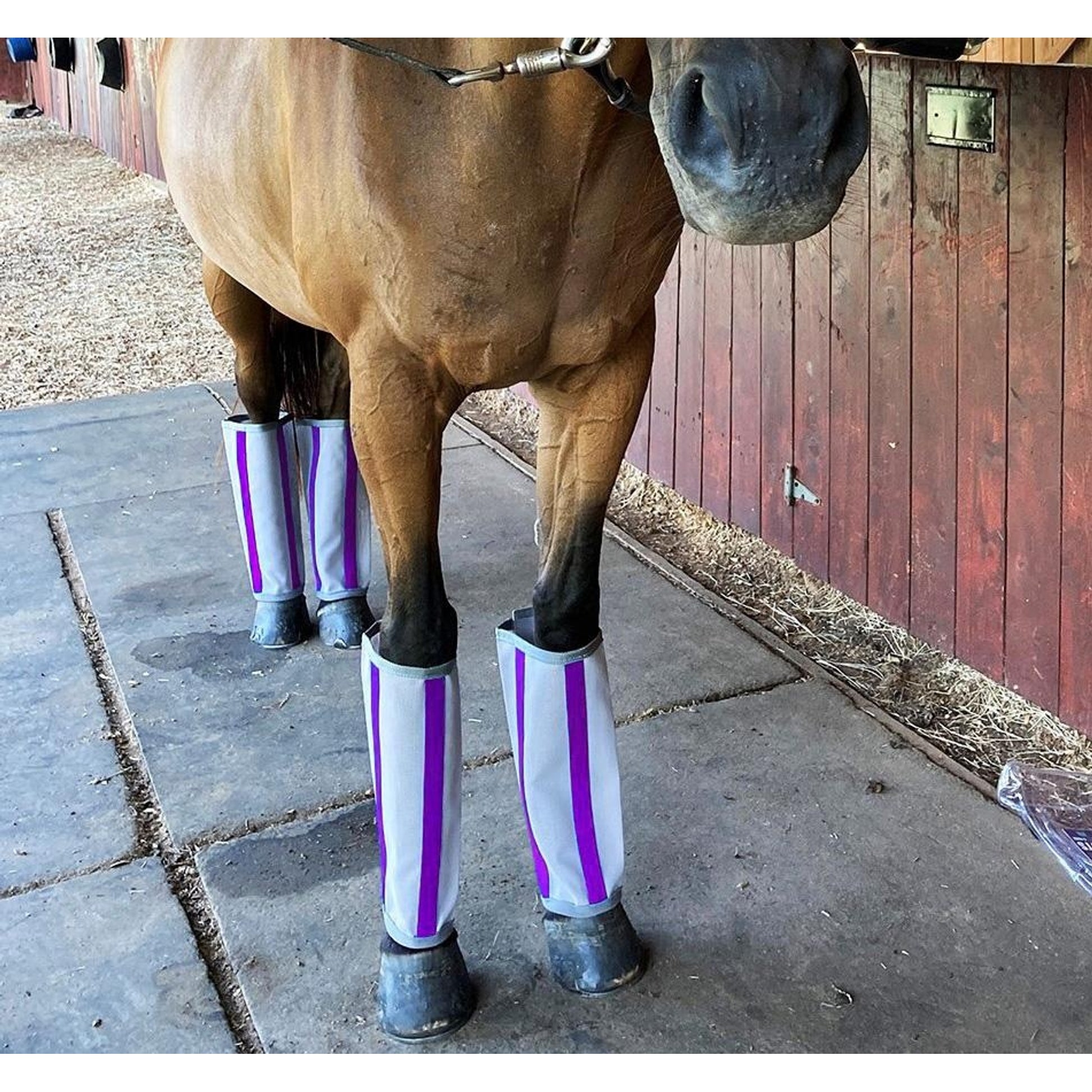 Majyk Equipe Fly-Bye Boots - Pack of 4