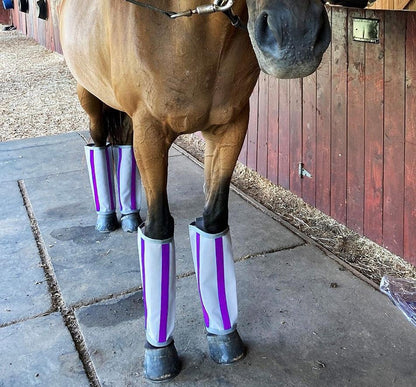 Majyk Equipe Fly-Bye Boots - Pack of 4
