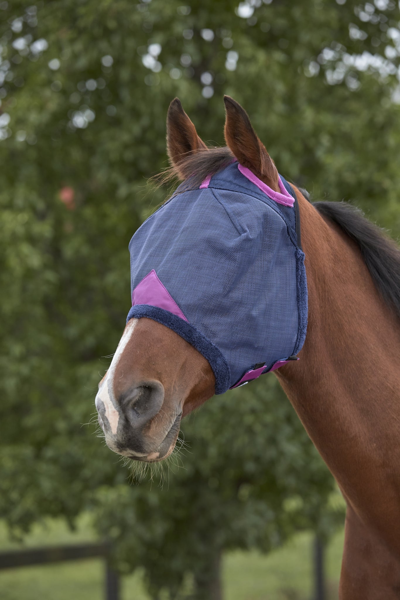 WeatherBeeta Brand Clearance