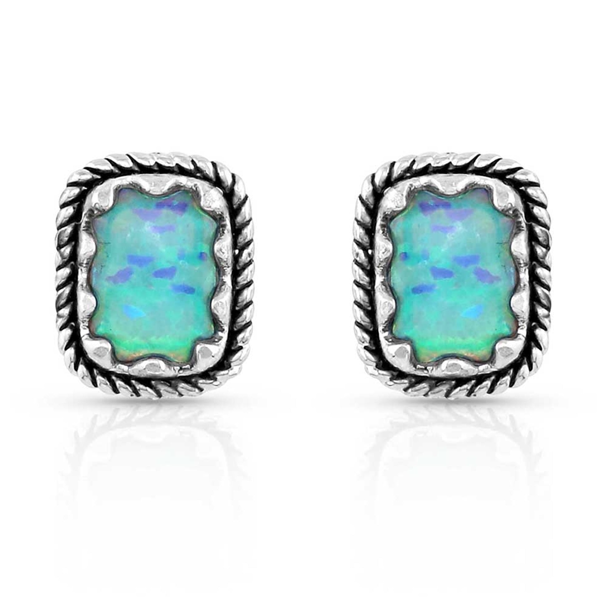 Montana Silversmiths Emerald Pools Roped Silver Earrings