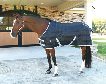 🎁 Gatsby Heavyweight Stable Blanket (100% off)