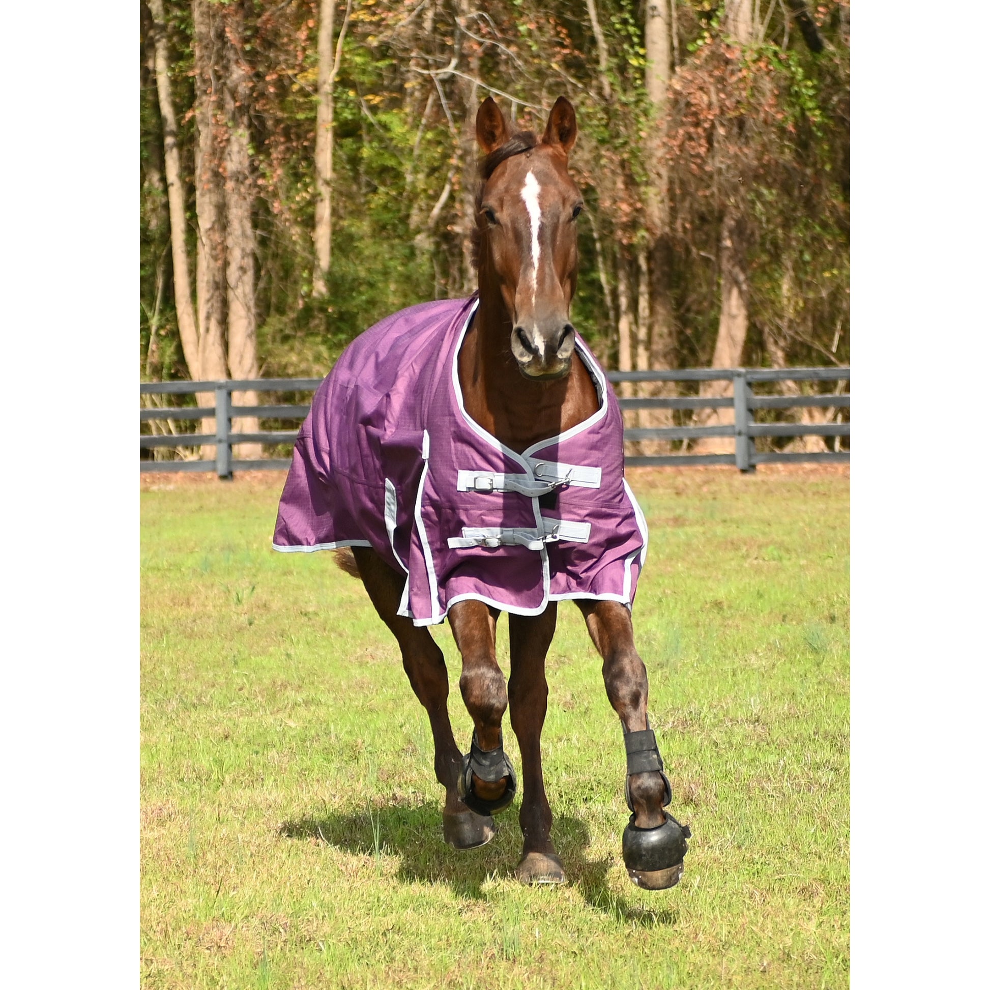 Gatsby 1200D MW Waterproof Turnout Blanket