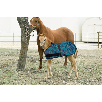 Kensington 1200D Adj Weanling Turnout Blanket - 180g